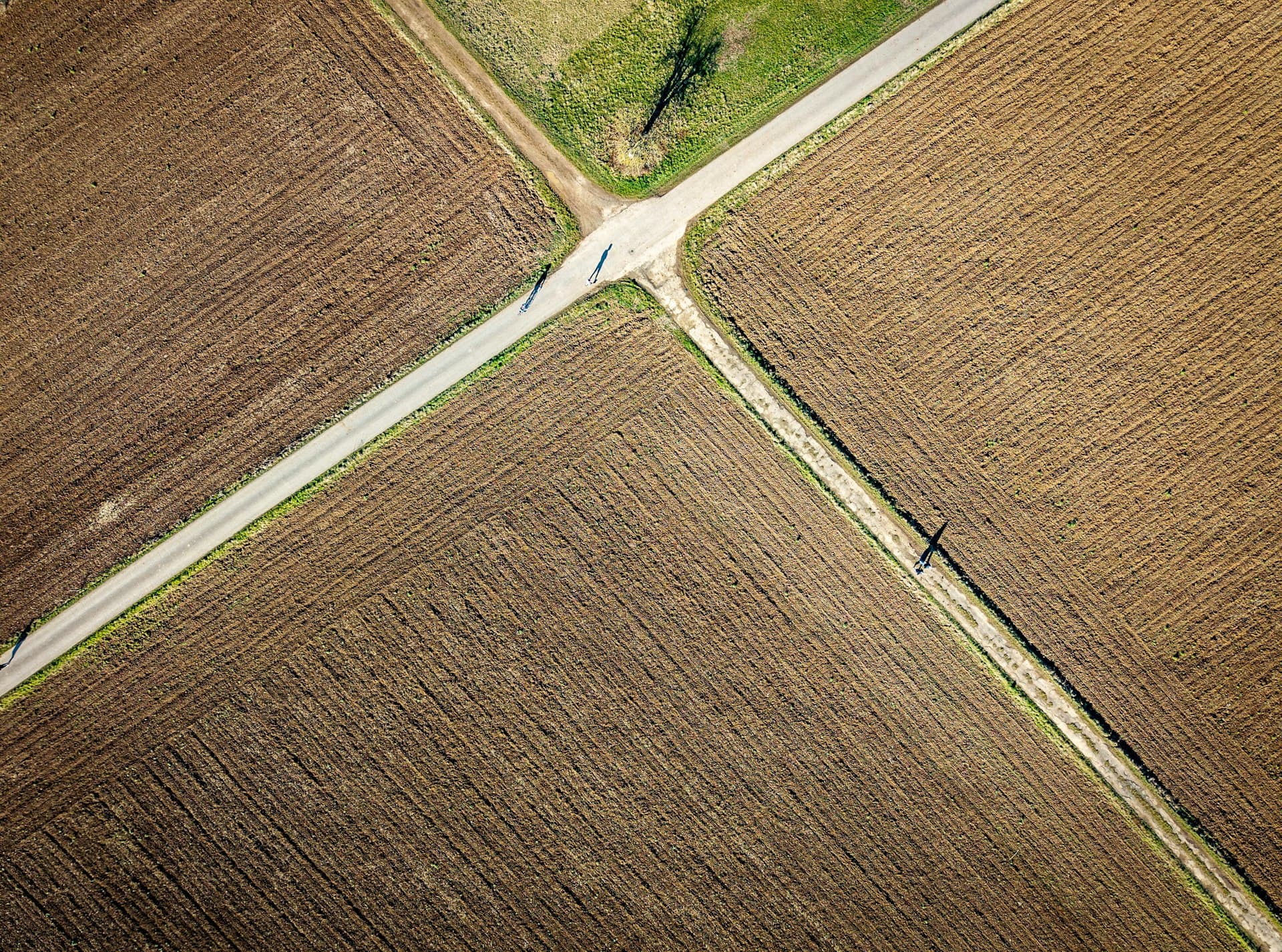 Farms and Diversification — Skydatasol Engineering