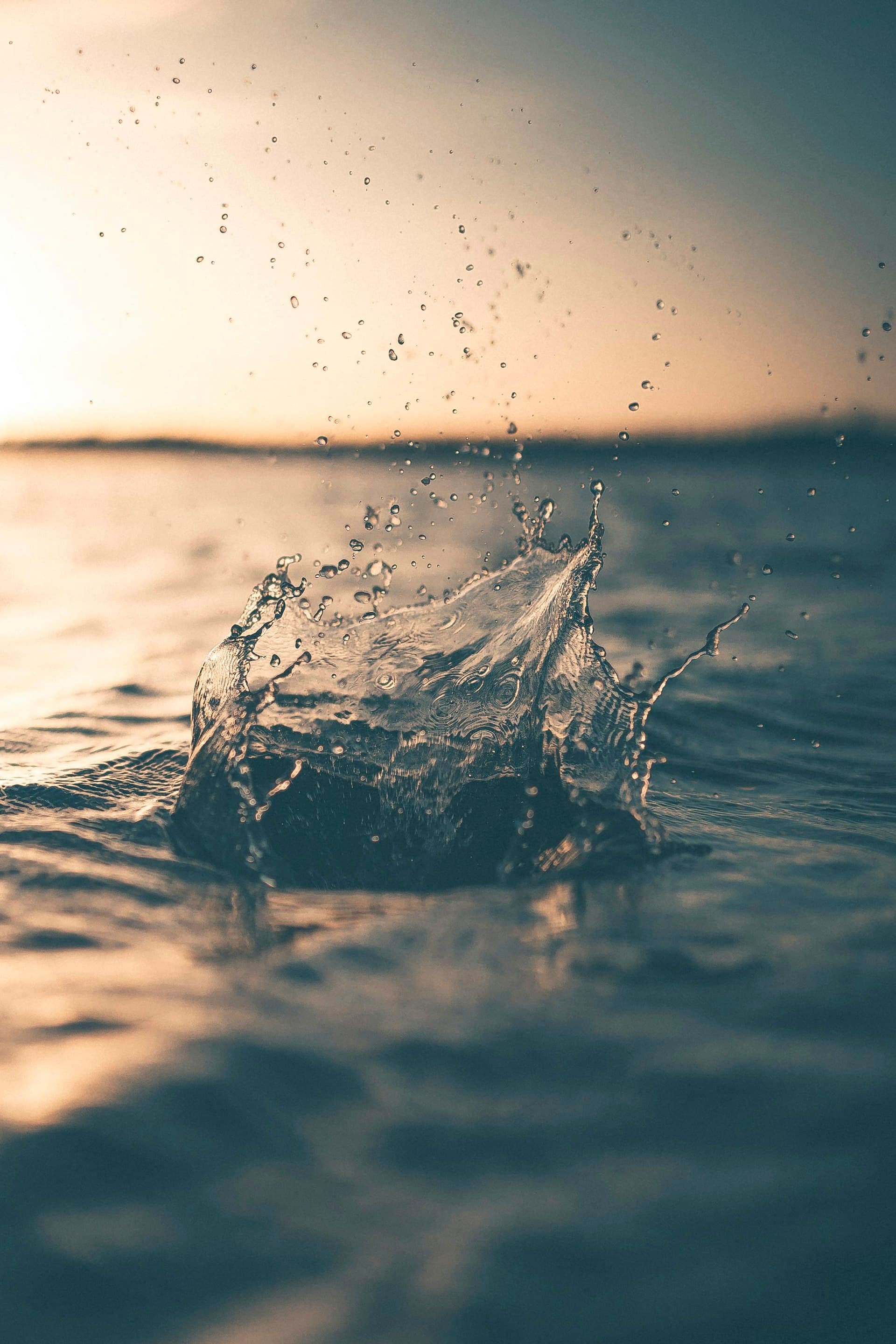Water Treatment Plants — Skydatasol Engineering